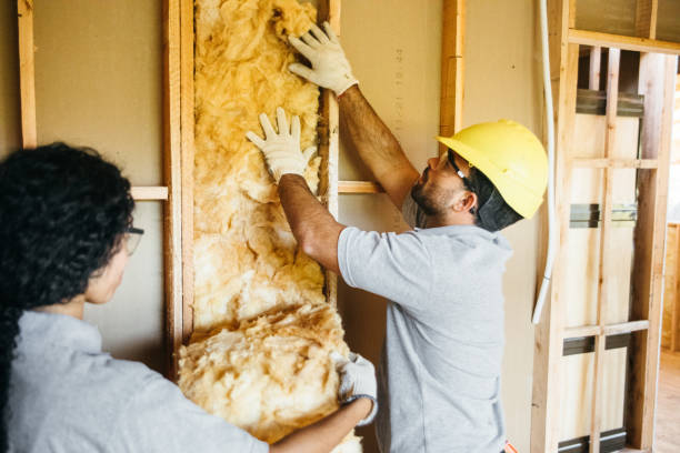 Best Commercial Insulation Contractor  in Alamosa, CO