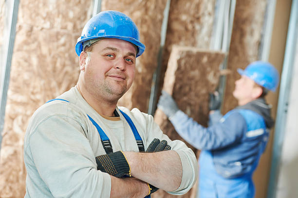 Best Attic Insulation Installation  in Alamosa, CO